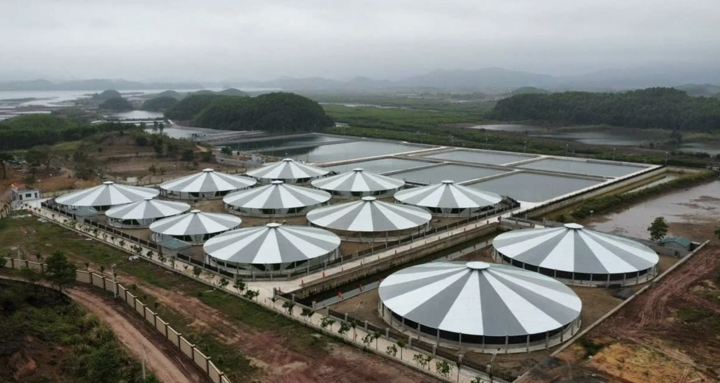 Quang Ninh centra sus esfuerzos en resolver los cuellos de botella en la acuicultura para facilitar las exportaciones